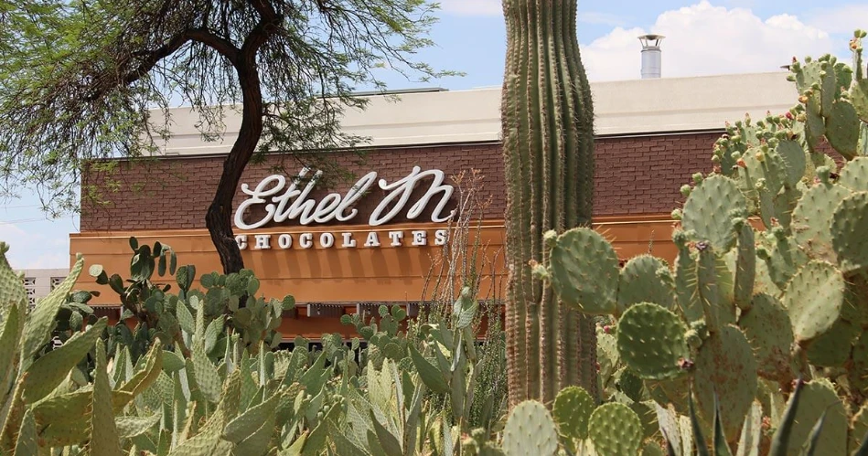 Weekend Getaway to Las Vegas – Travel Guide 