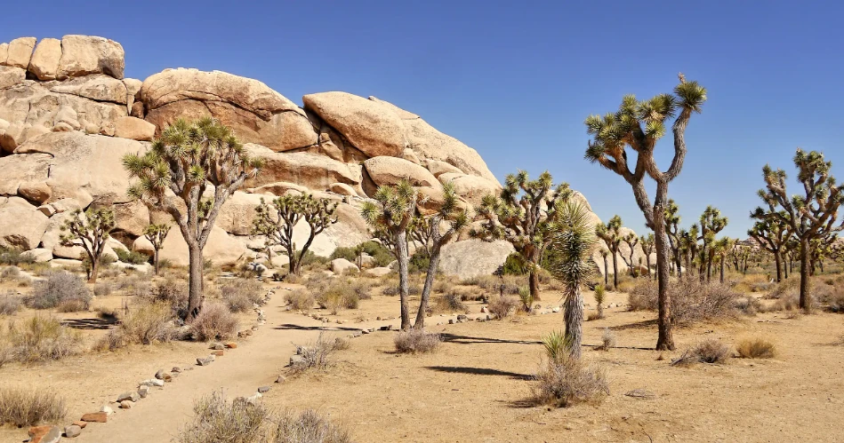 10 Best Day Trips From Las Vegas, NV