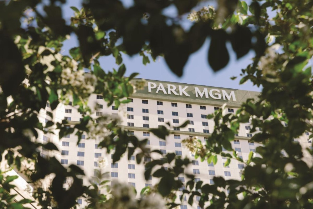Park MGM Las Vegas Image 46